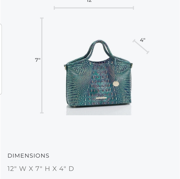 Brahmin Dragon Melbourne Small Elaine NWT - Picture 13 of 15